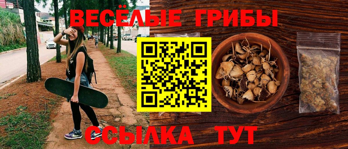 Псилоцибиновые грибы мицелий Саранск