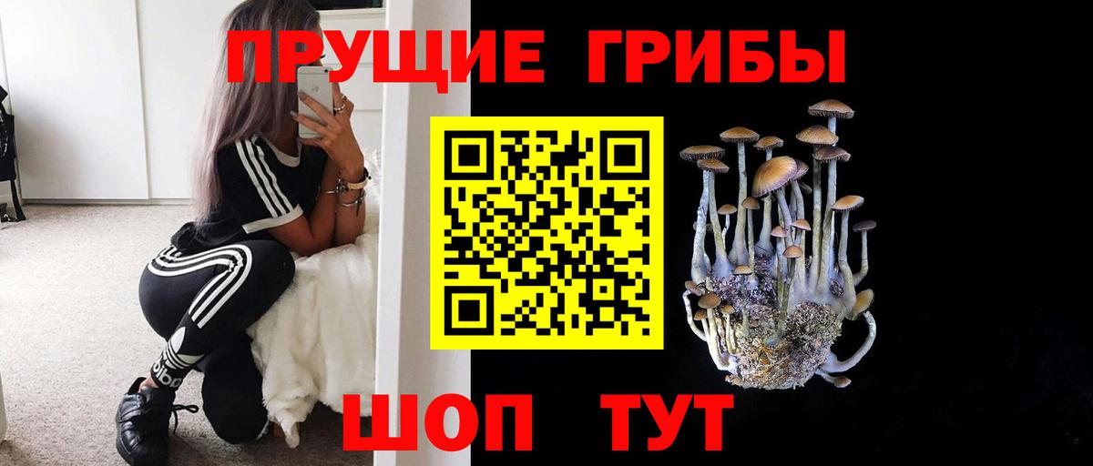 Саранск  Галлюциногенные грибы мицелий  Вход с VPN 